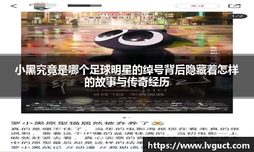 芒果体育直播官网