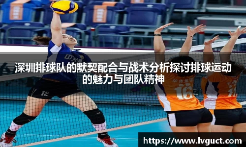 芒果体育直播官网